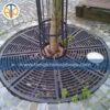 Ghi bảo vệ gốc cây bằng gang khung tròn Ghi bảo vệ gốc cây bằng gang khung tròn
